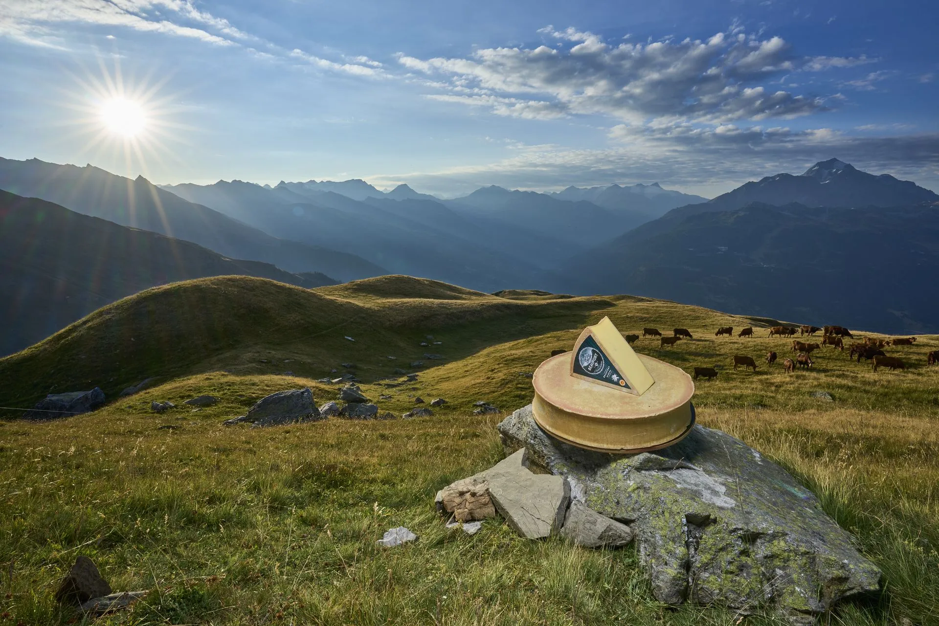 Exemple de réalisation Industriel - 5